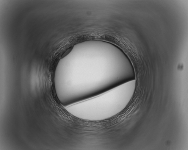 X0000100421347200806060939
