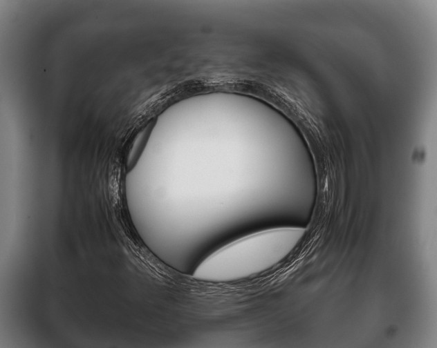 X0000100421348200806060939