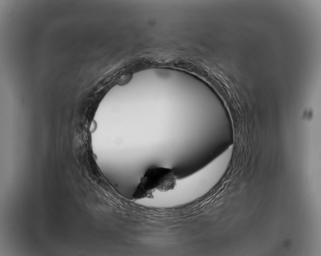 X0000100421349200806060939