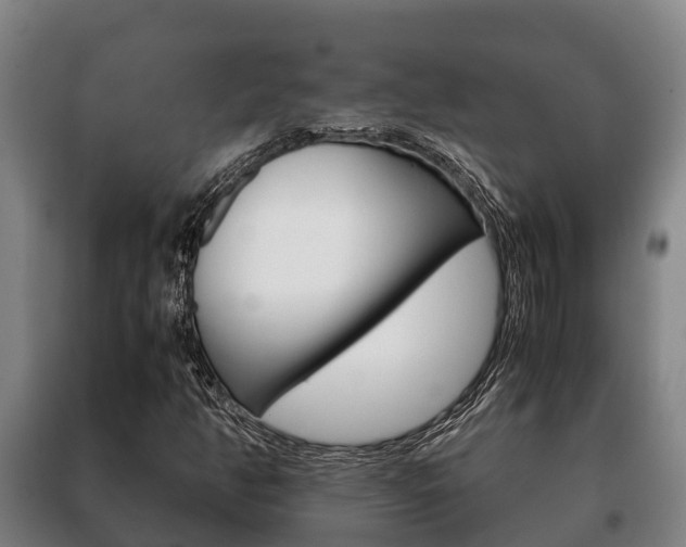 X0000100421350200806060939