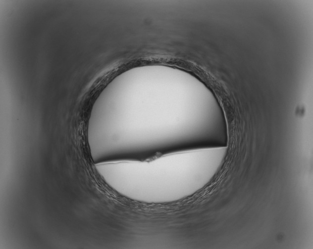 X0000100421351200806060939
