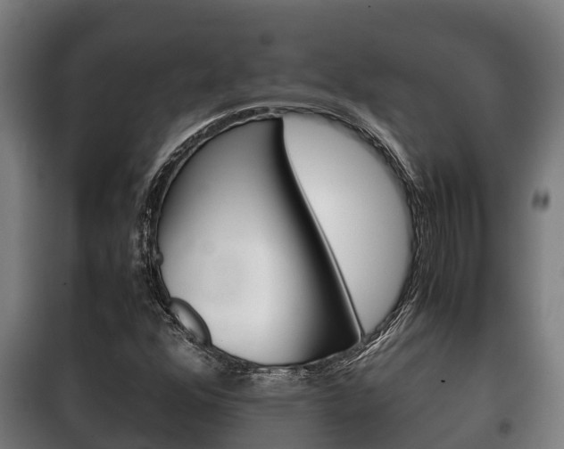 X0000100421352200806060939