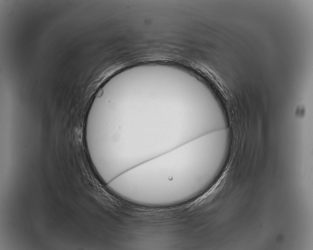 X0000100421353200806060939