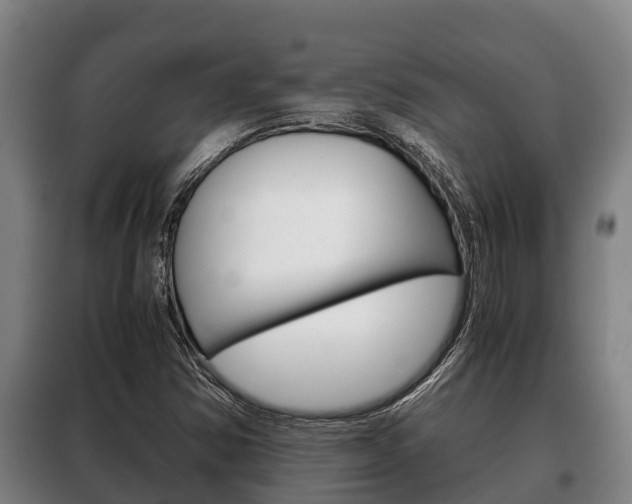 X0000100421354200806060939