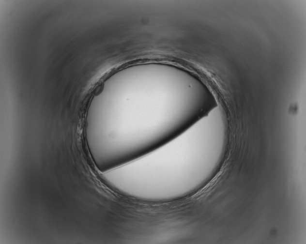 X0000100421355200806060939