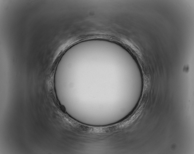 X0000100421357200806060939
