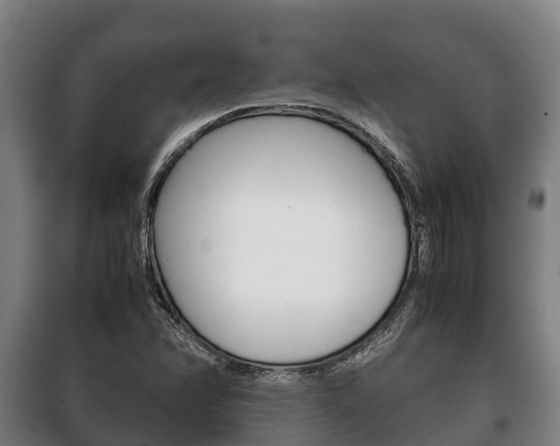 X0000100421358200806060939