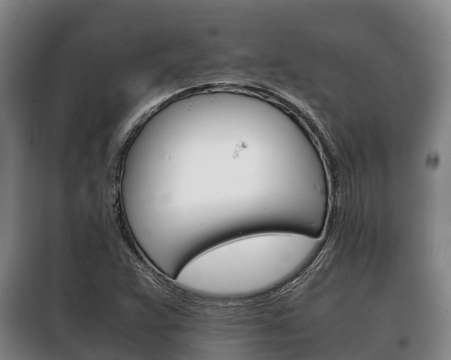 X0000100421359200806060939