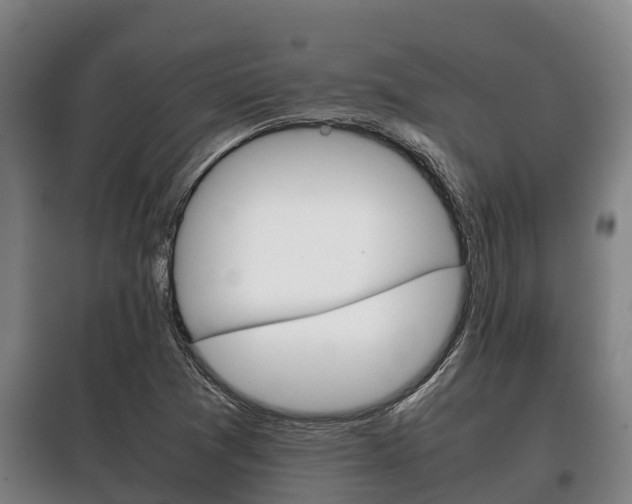 X0000100421361200806060938