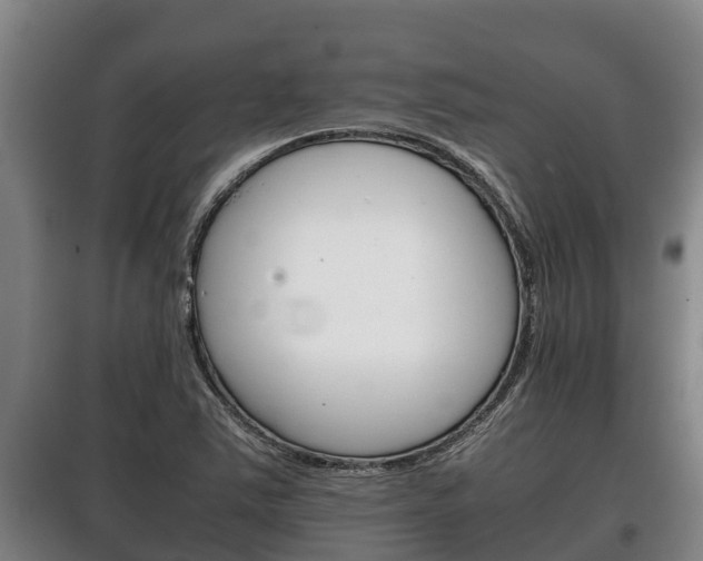 X0000100421363200806060938