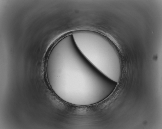 X0000100421364200806060938
