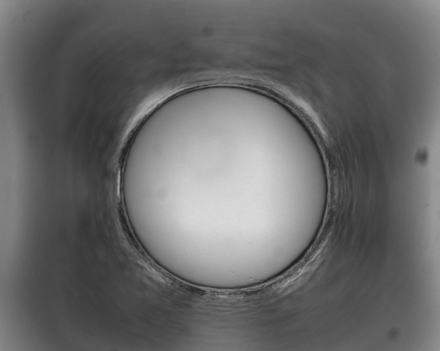 X0000100421365200806060938