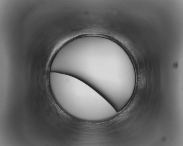 X0000100421366200806060938