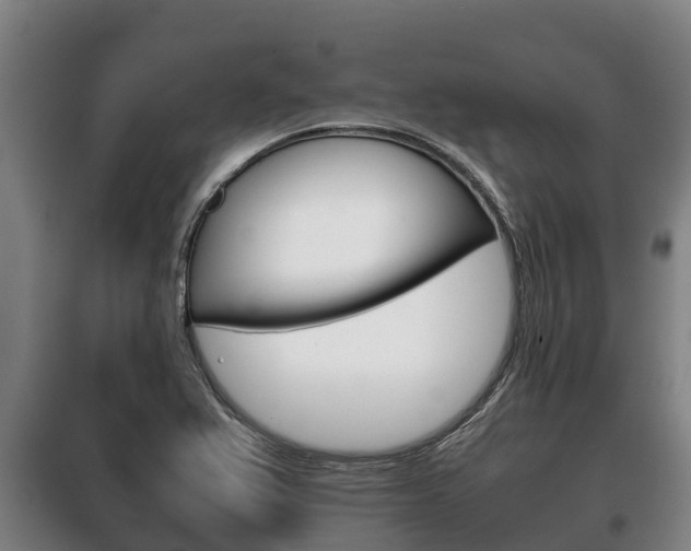 X0000100421367200806060938