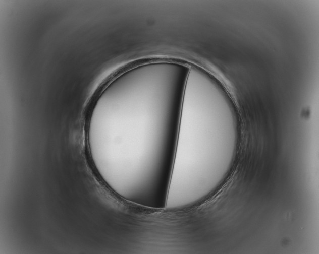 X0000100421368200806060938