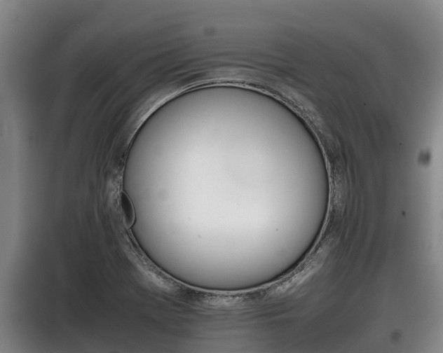 X0000100421369200806060938