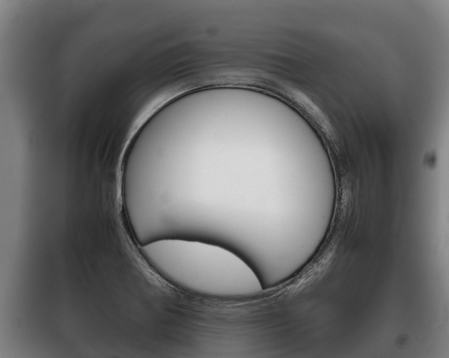 X0000100421370200806060938
