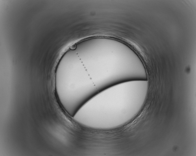 X0000100421371200806060938