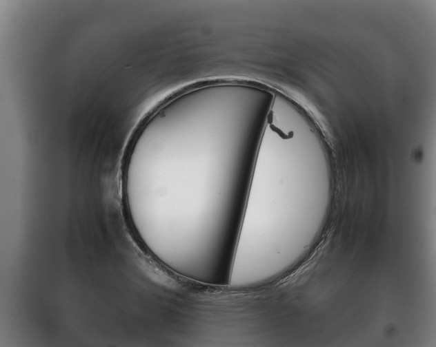 X0000100421372200806060938