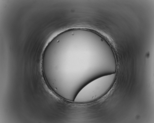 X0000100421374200806060938