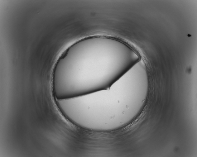 X0000100421375200806060938