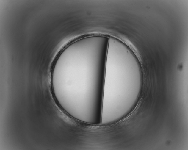 X0000100421376200806060938