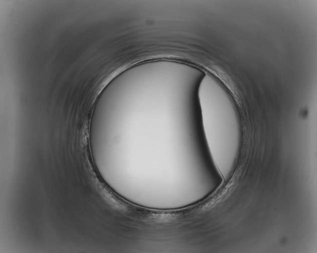 X0000100421377200806060938