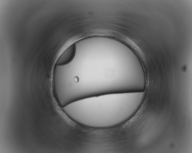 X0000100421378200806060938