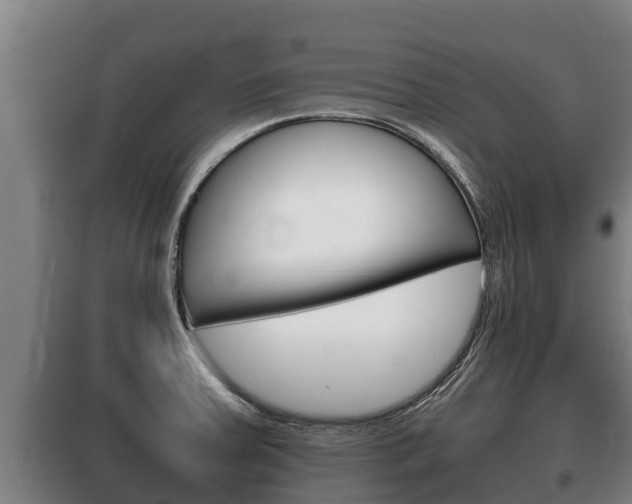 X0000100421379200806060938