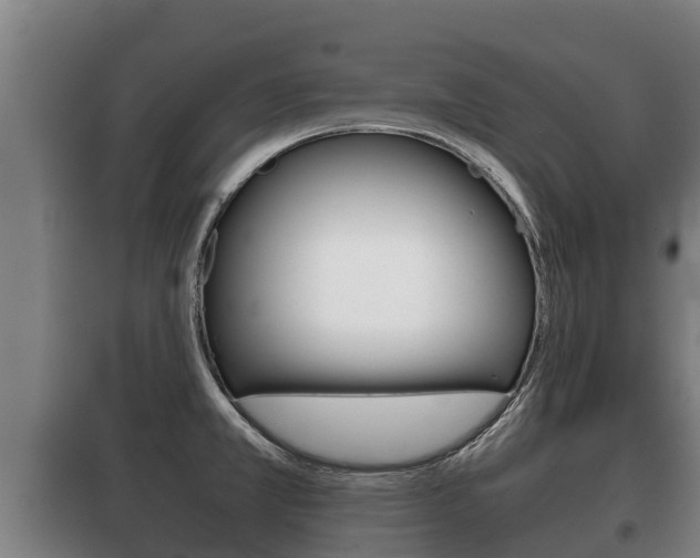 X0000100421381200806060938