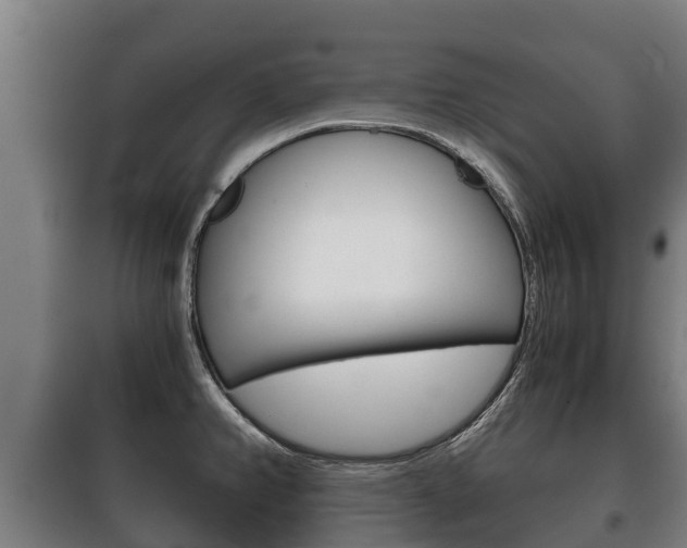 X0000100421382200806060938