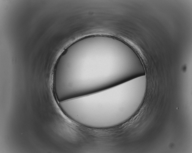 X0000100421383200806060938