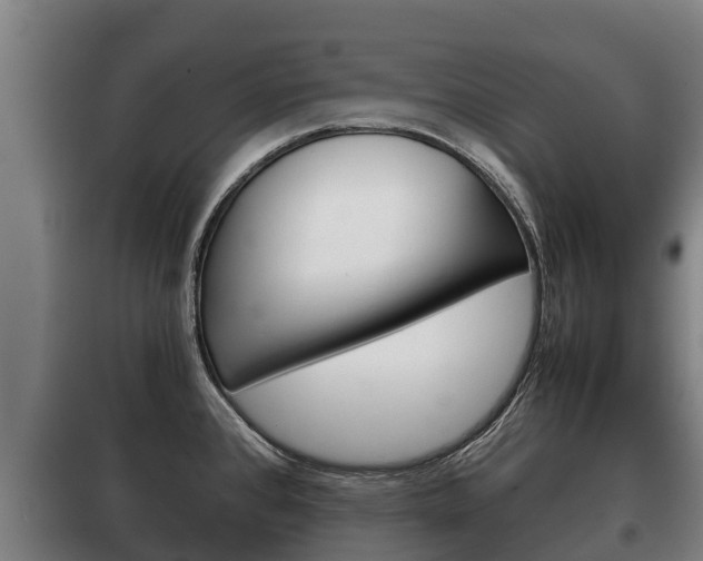 X0000100421384200806060938