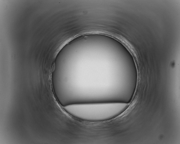 X0000100421385200806060938