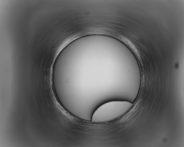 X0000100421386200806060938