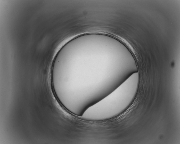 X0000100421387200806060938