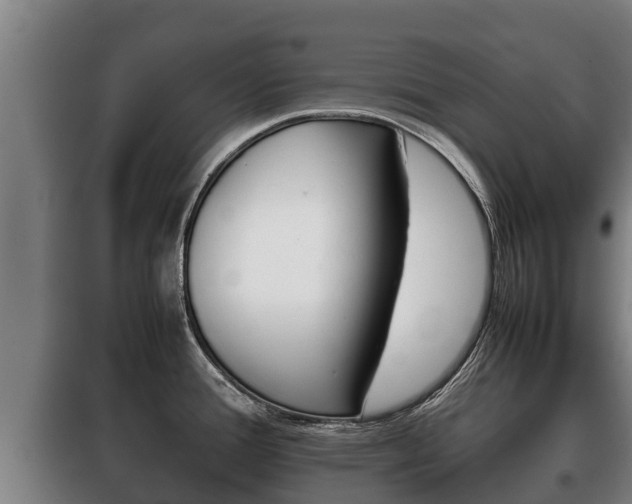 X0000100421388200806060938