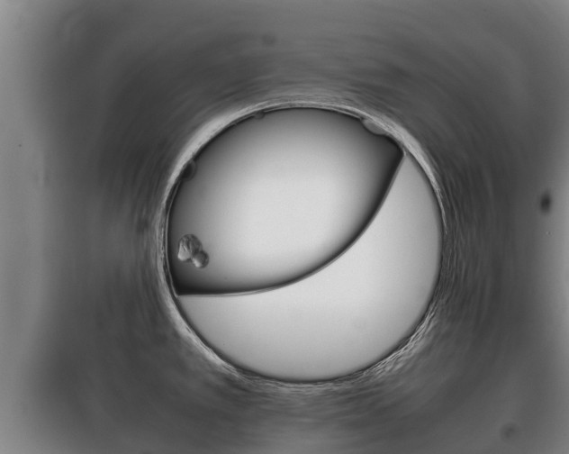 X0000100421389200806060938