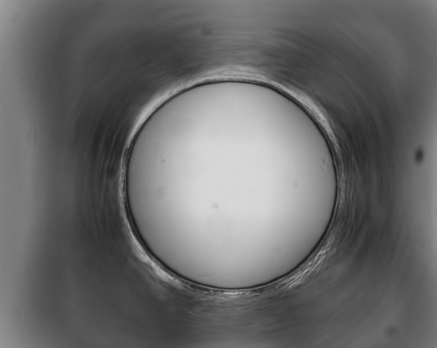 X0000100421390200806060938
