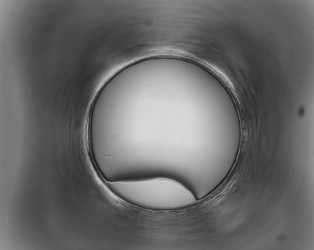 X0000100421391200806060938