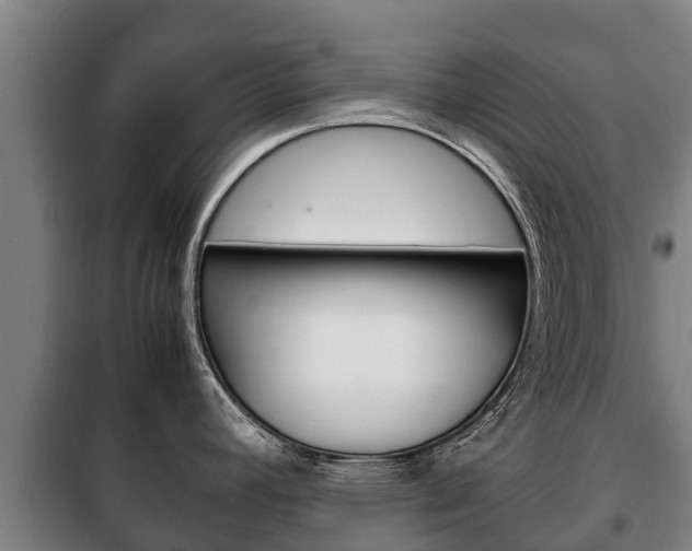 X0000100421392200806060938