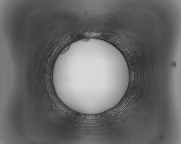 X0000100421393200806060937