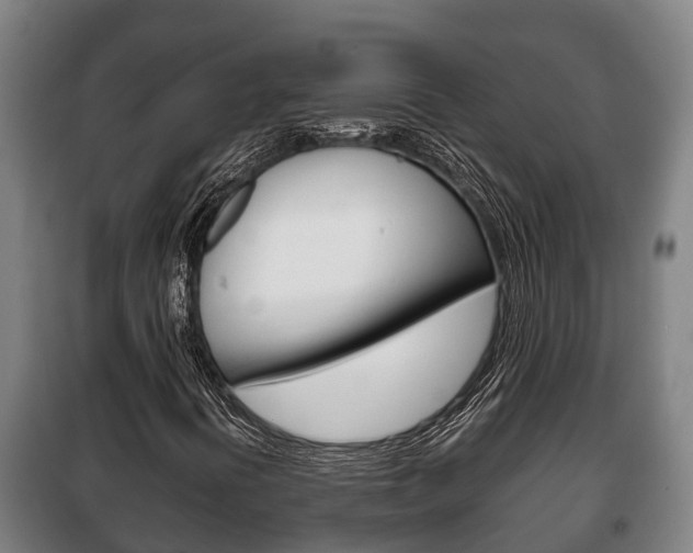 X0000100421394200806060937