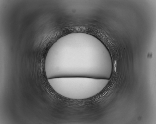 X0000100421395200806060937