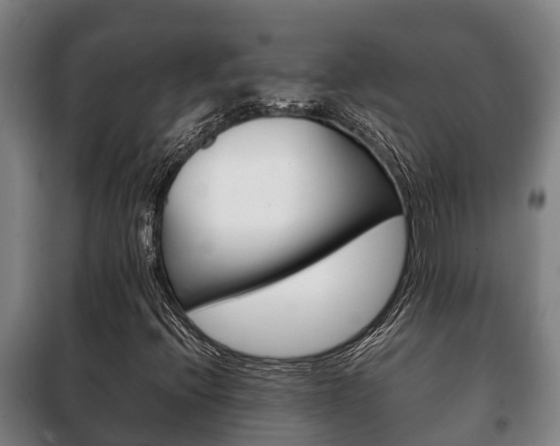 X0000100421396200806060937