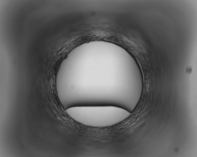 X0000100421397200806060937