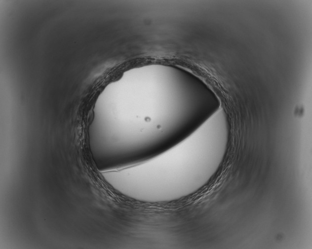 X0000100421398200806060937