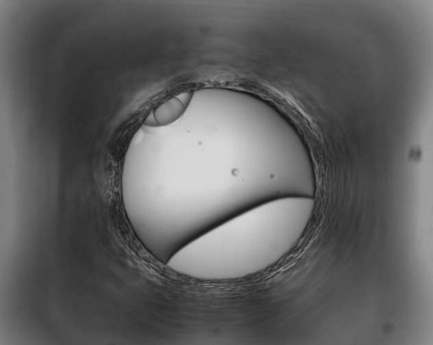 X0000100421399200806060937
