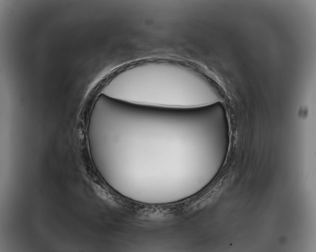 X0000100421400200806060937