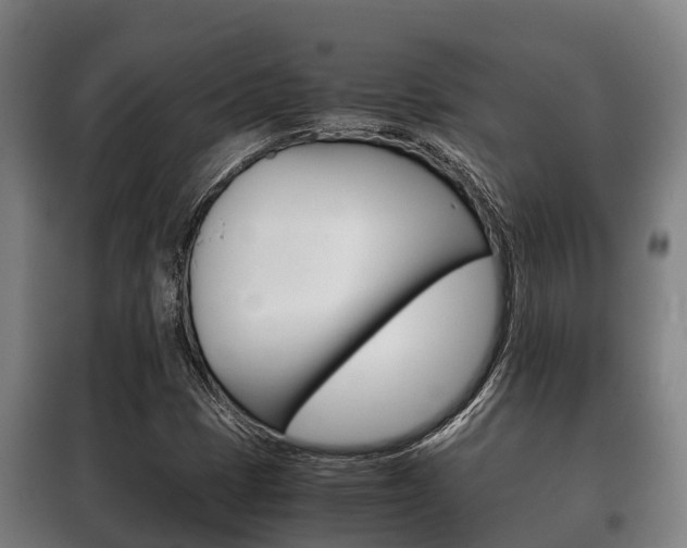 X0000100421401200806060937